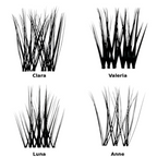 Four sets of stylized hair extensions labeled Clara, Valeria, Luna, and Anne on a white background.