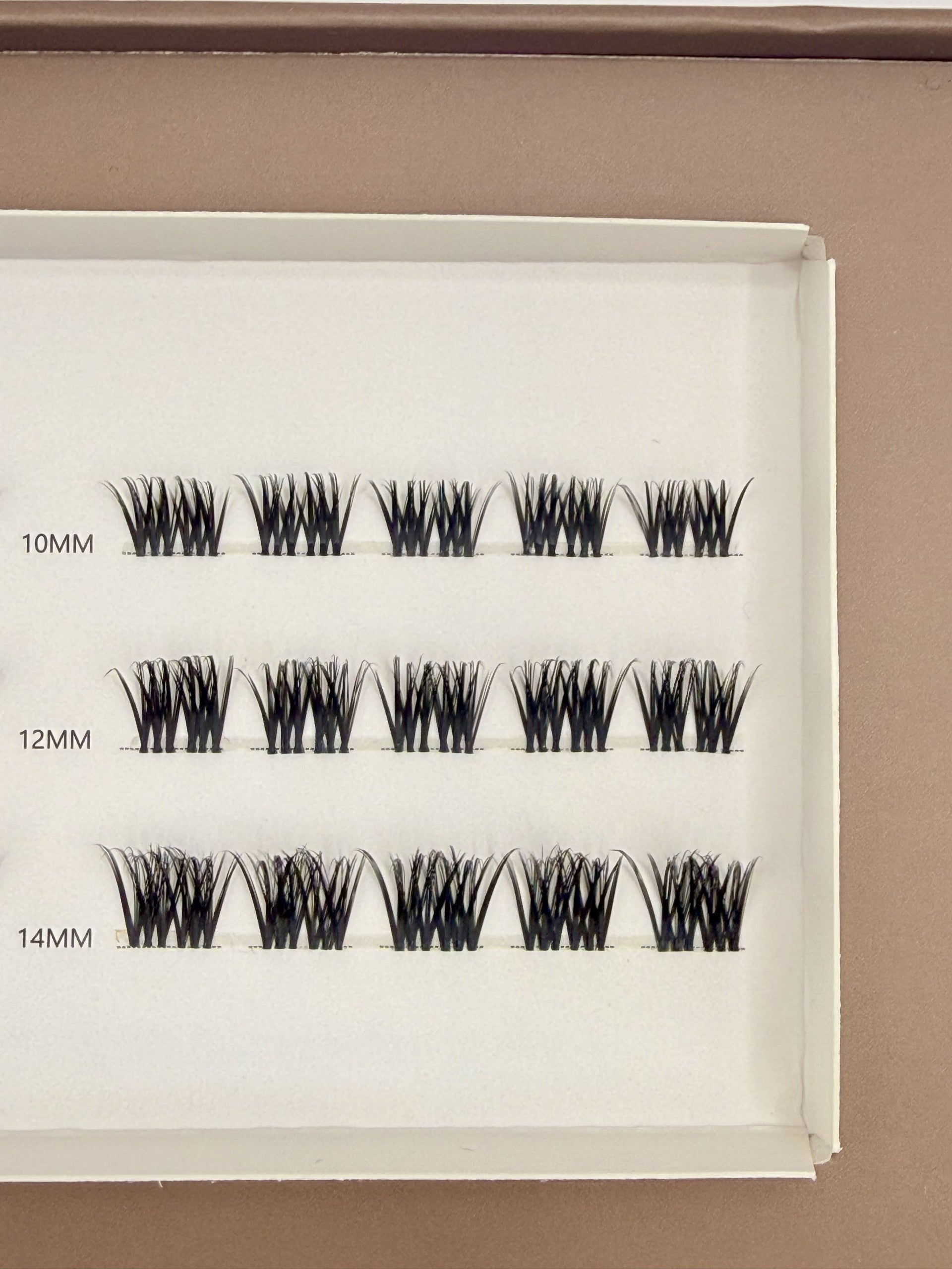 Valeria starter kit, Russian volume lashes, close-up on the lash clusters